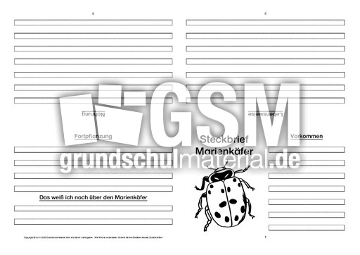 Marienkäfer-Faltbuch-vierseitig-1.pdf